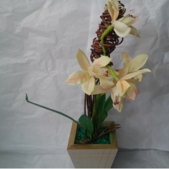 Arranjo de orqu�dea