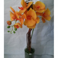 Arranjo de orqu�dea