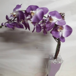 Arranjo de orqu�dea