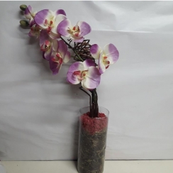 Arranjo de orqu�dea