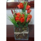 Arranjo de tulipa 