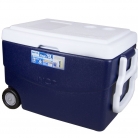 Caixa t�rmica 70L.