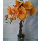 Arranjo de orqu�dea