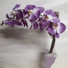 Arranjo de orqu�dea