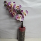 Arranjo de orqu�dea