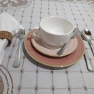 X�cara p/ ch� Plissan